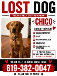Reunited Male Dog last seen Near Belinda Way, Chula Vista, CA 91910, USA, Chula Vista, CA 91910