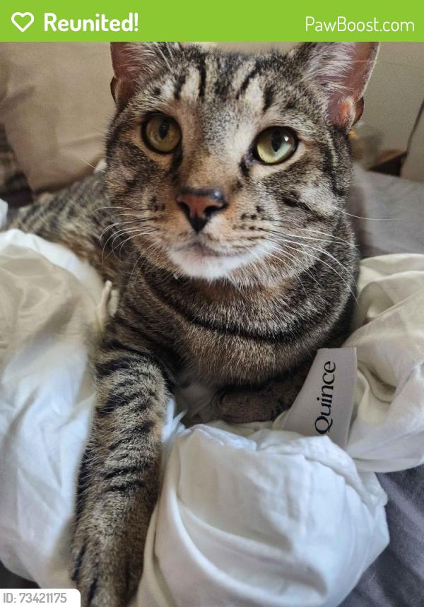 Reunited Male Cat last seen Plymouth Road near Park Drive, Plymouth Meeting, PA 19462