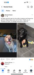 Found/Stray Male Dog last seen Smith, Portland, OR 97203