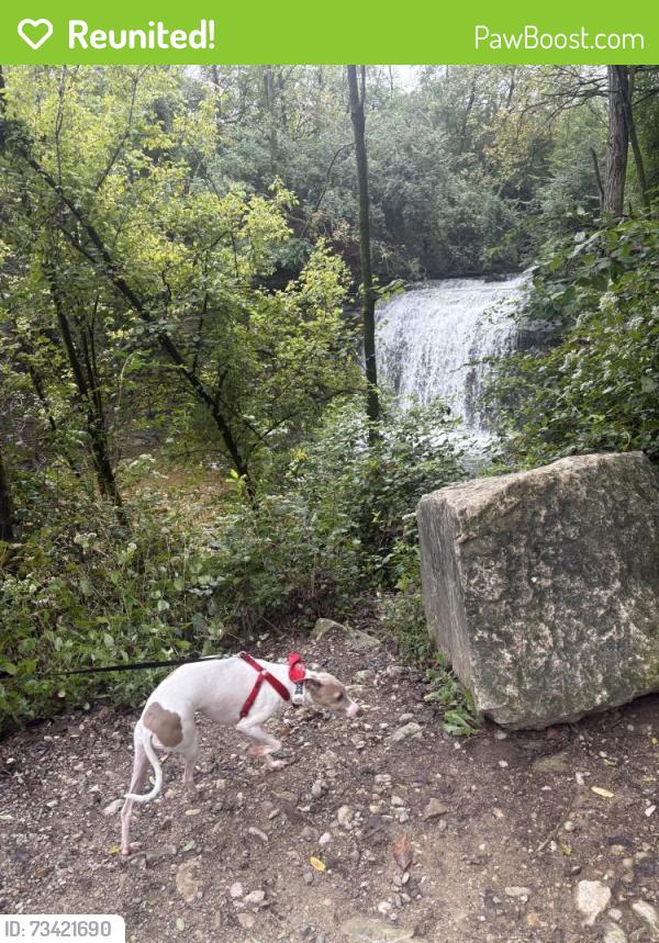 Reunited Male Dog last seen Renner Road and Spindler, Columbus, OH 43228