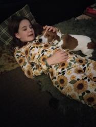Reunited Male Dog last seen Near State Route 305, Fowler, OH, 44418, USA, Fowler, OH 44418