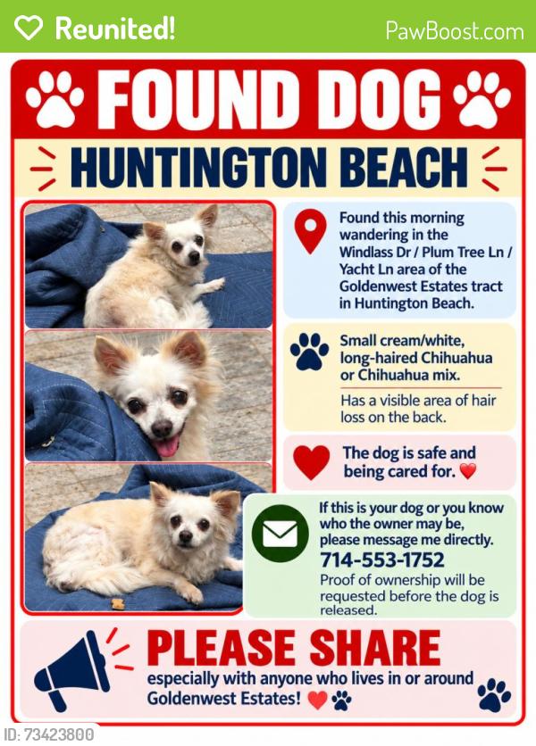 Reunited Female Dog last seen Windlass Dr, Huntington Beach, CA 92646, USA, Huntington Beach, CA 92646