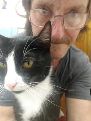 Lost Male Cat last seen Kokanee division, Hoodsport, WA 98548