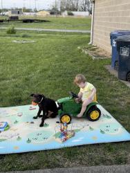 Lost Male Dog last seen millers ln, Louisville, KY 40216