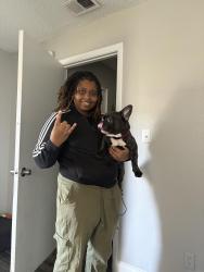 Lost Male Dog last seen Lorenzo at East Mil apmts, Orlando, FL 32839