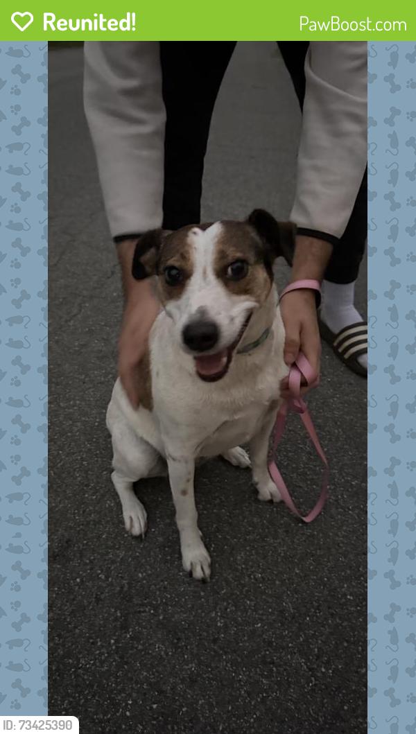Reunited Female Dog last seen Foster Rd, Richmond, VA, USA, Richmond, VA 23226