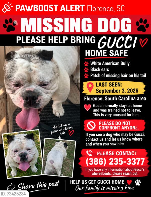 Lost Male Dog last seen Church near my hse, Florence, SC 29505