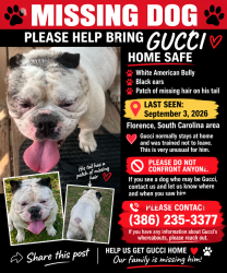 Lost Male Dog last seen Church near my hse, Florence, SC 29505