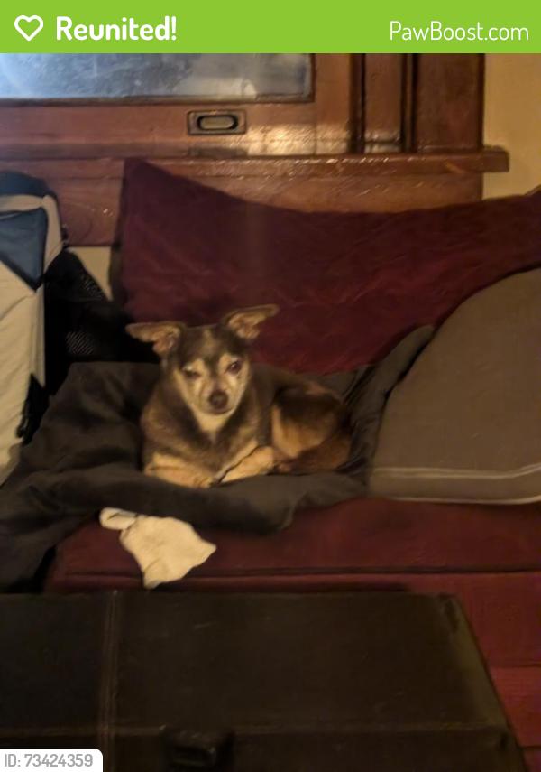 Reunited Male Dog last seen Knox Ave & Berwyn Ave, Berwyn, PA 19312