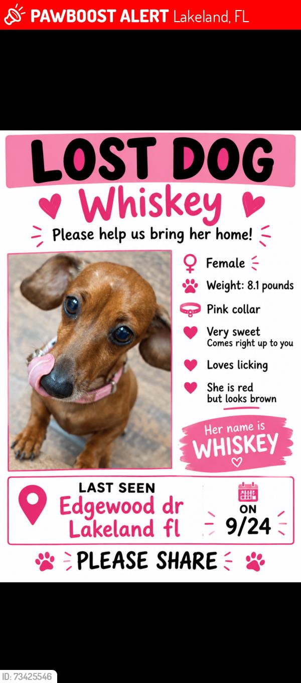 Lost Female Dog last seen Near E Edgewood, Lakeland, FL 33803
