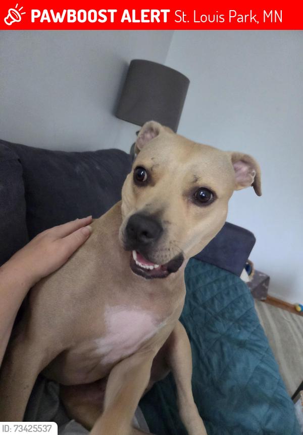 Lost Male Dog last seen Near St Louis Park Costco, St. Louis Park, MN 55416