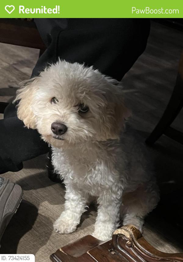 Reunited Male Dog last seen Woodbridge Rd, Acampo, CA 95220, USA, Acampo, CA 95220