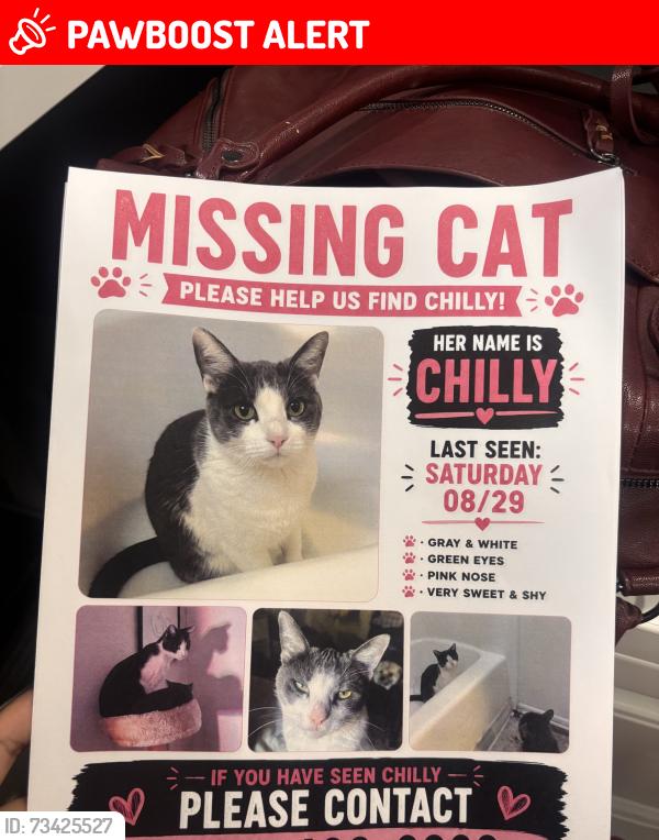 Lost Female Cat last seen Jellick and Colima GW Market, Rowland Heights, CA 91748