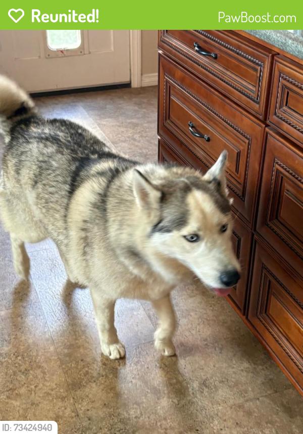 Reunited Unknown Dog last seen Sunview & Santa Ana Canyon, Orange, CA 92865