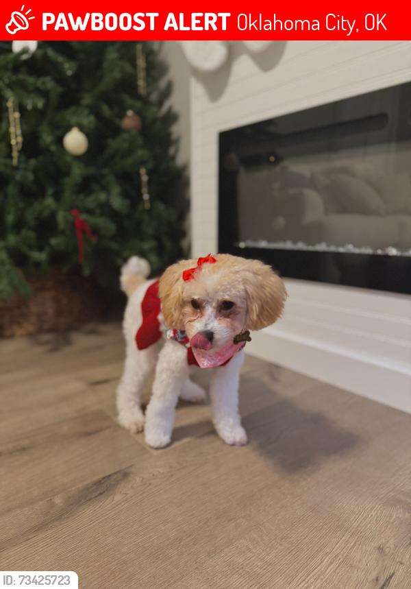 Lost Female Dog last seen Near narrowleaf ln, Oklahoma City, OK 73128