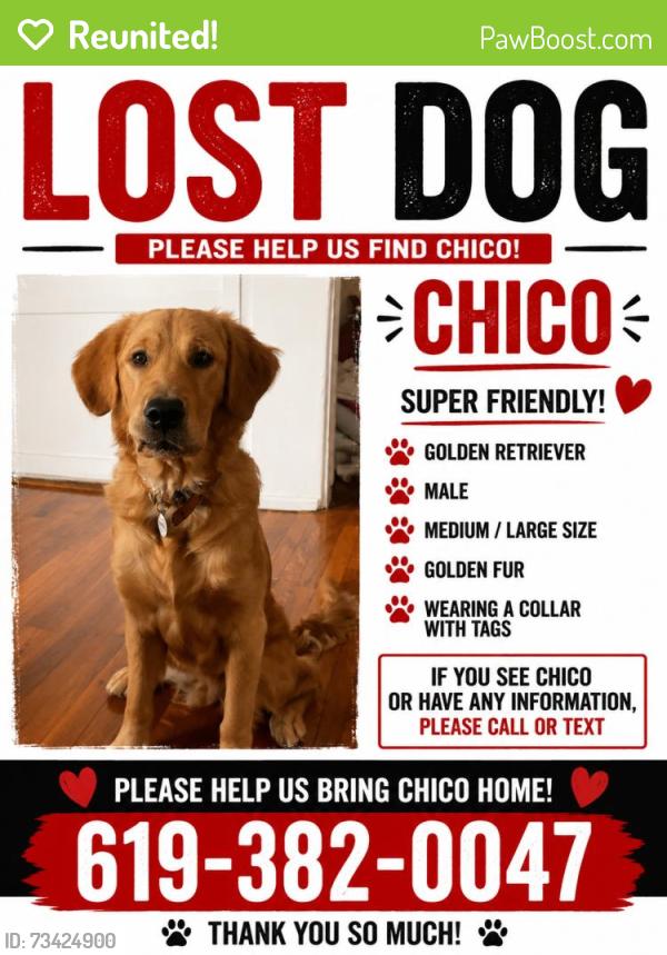 Reunited Male Dog last seen Near Belinda Way, Chula Vista, CA 91910, USA, Chula Vista, CA 91910