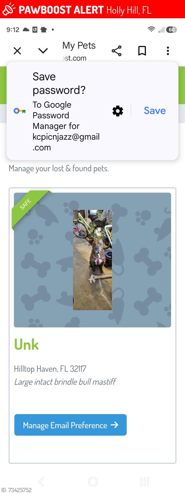 Lost Male Dog last seen Derbyshire ave Holly hill, fl, Holly Hill, FL 32117