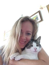 Reunited Male Cat last seen USPS office, Newton, MA 02460