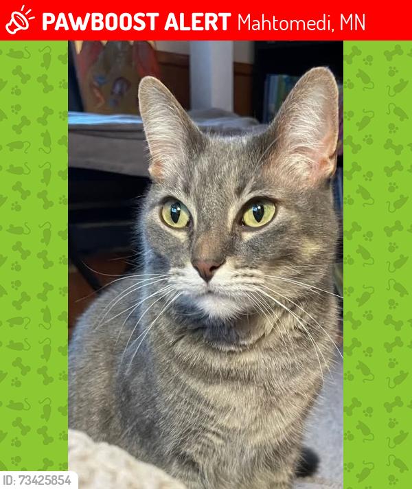 Lost Male Cat last seen Mahtomedi mn, Mahtomedi, MN 55115