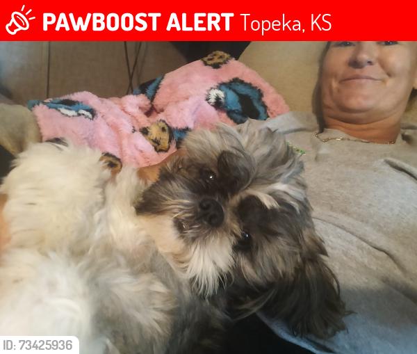 Lost Male Dog last seen 37th St, Topeka, KS 66609