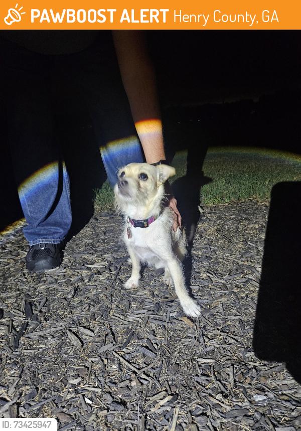 Found/Stray Male Dog last seen Simpson Mill rd, Henry County, GA 30228