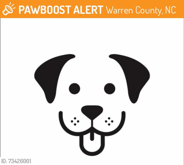 Found/Stray Male Dog last seen Greentown Ave, Warren County, NC 27589