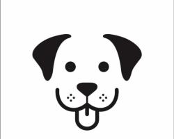 Found/Stray Male Dog last seen Greentown Ave, Warren County, NC 27589