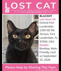 Lost Male Cat last seen Dixy H, Fort Lauderdale, FL 33304