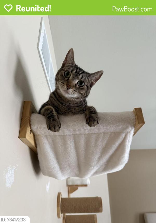 Reunited Male Cat last seen Monches Park, Hartland, WI 53029