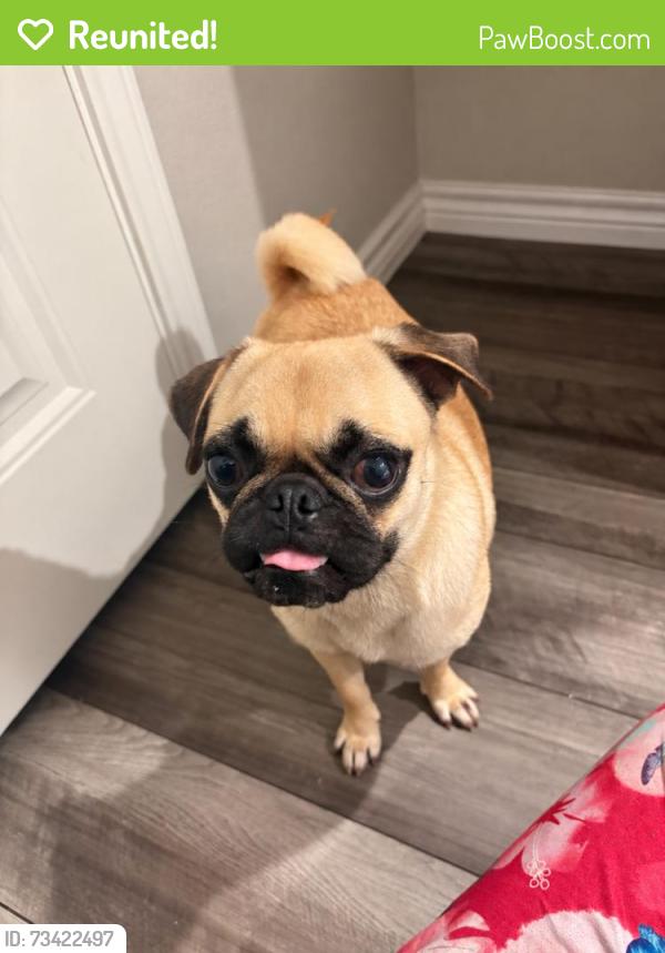 Reunited Unknown Dog last seen Carnaby St, Corpus Christi, TX 78415, USA, Corpus Christi, TX 78415
