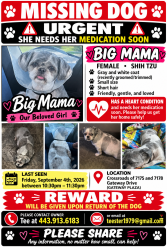 Lost Female Dog last seen Crossroads of 7175 and 7178 Columbia Gateway Drive, Columbia, MD 21046