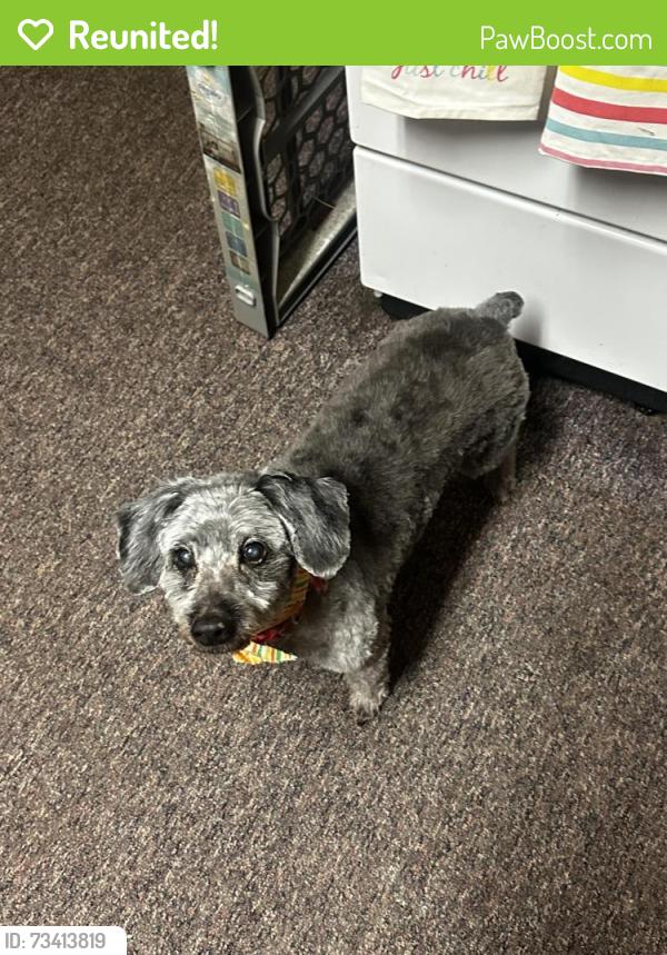 Reunited Male Dog last seen Ran away from home on Berwick st in beaver meadows, Beaver Meadows, PA 18216