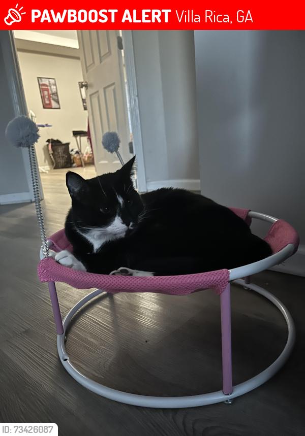 Lost Male Cat last seen Brewer & Raegan rd, Villa Rica, GA 30180