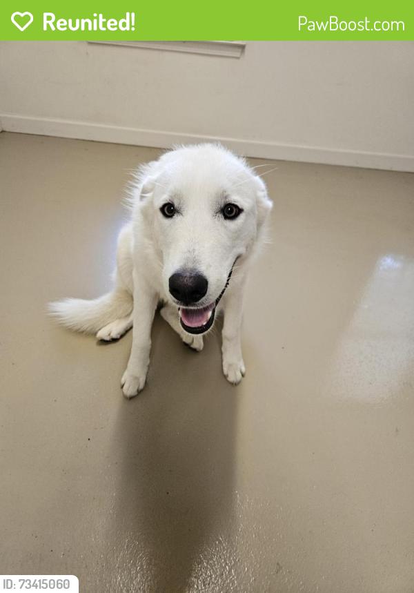 Reunited Unknown Dog last seen HWY 20 near Forrest Creek Subdivision, Macedonia, GA 30115