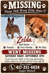 Lost Female Dog last seen U hwy Rogersville mo, Rogersville, MO 65742