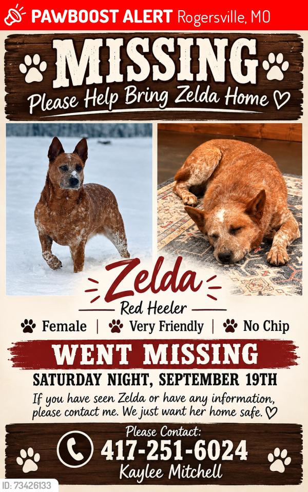 Lost Female Dog last seen U hwy Rogersville mo, Rogersville, MO 65742