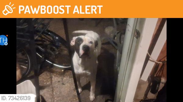 Found/Stray Male Dog last seen Mcknight, North Saint Paul, MN 55109