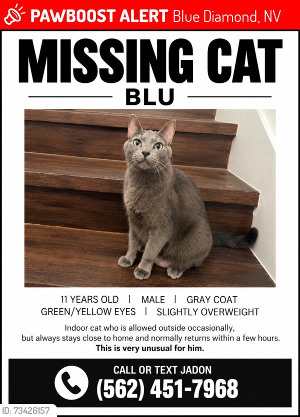 Lost Male Cat last seen El capitan/Cactus, Blue Diamond, NV 89161