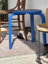 Found/Stray Unknown Cat last seen Near Fairmount Avenue, Oakland, CA 94611