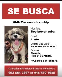 Lost Male Dog last seen Near ave, Phoenix, AZ 85009