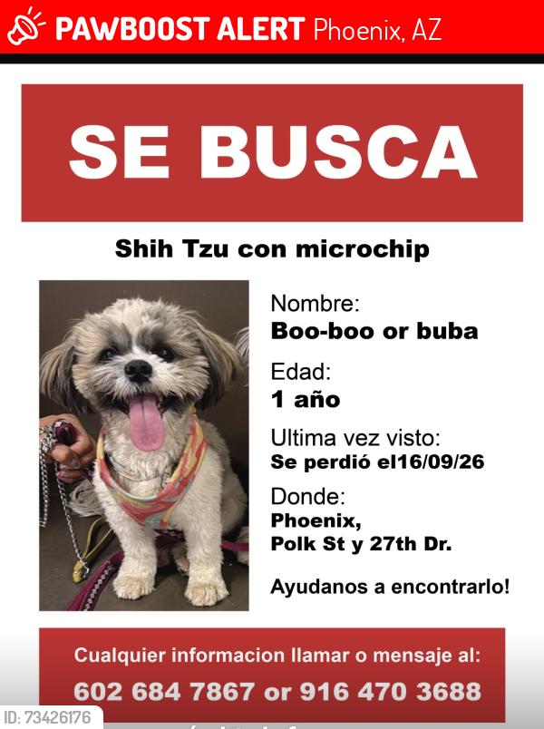 Lost Male Dog last seen Near ave, Phoenix, AZ 85009