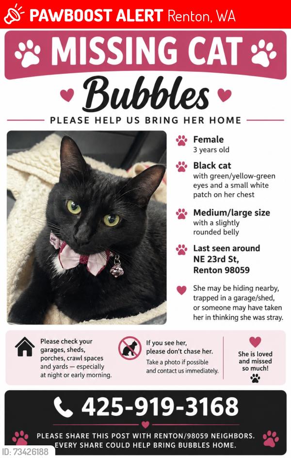 Lost Female Cat last seen Near NE 23rd ST, Renton, WA 98059