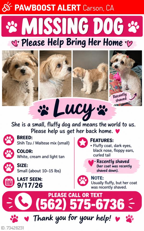 Lost Female Dog last seen E 228th st E 224th st by avalon boulevard in carson ca, Carson, CA 90745