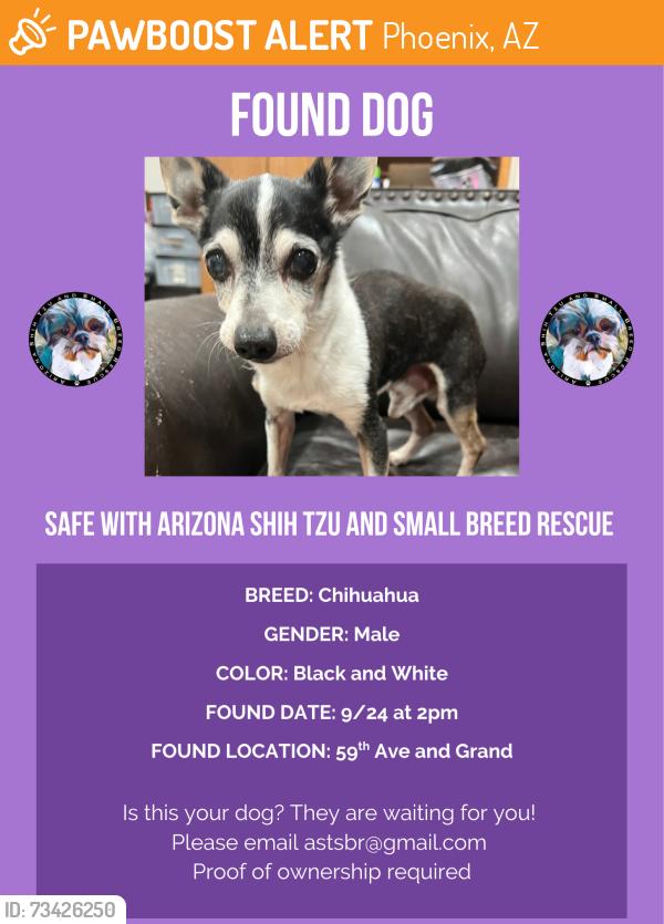 Found/Stray Male Dog last seen 59th ave and grand, Phoenix, AZ 85033
