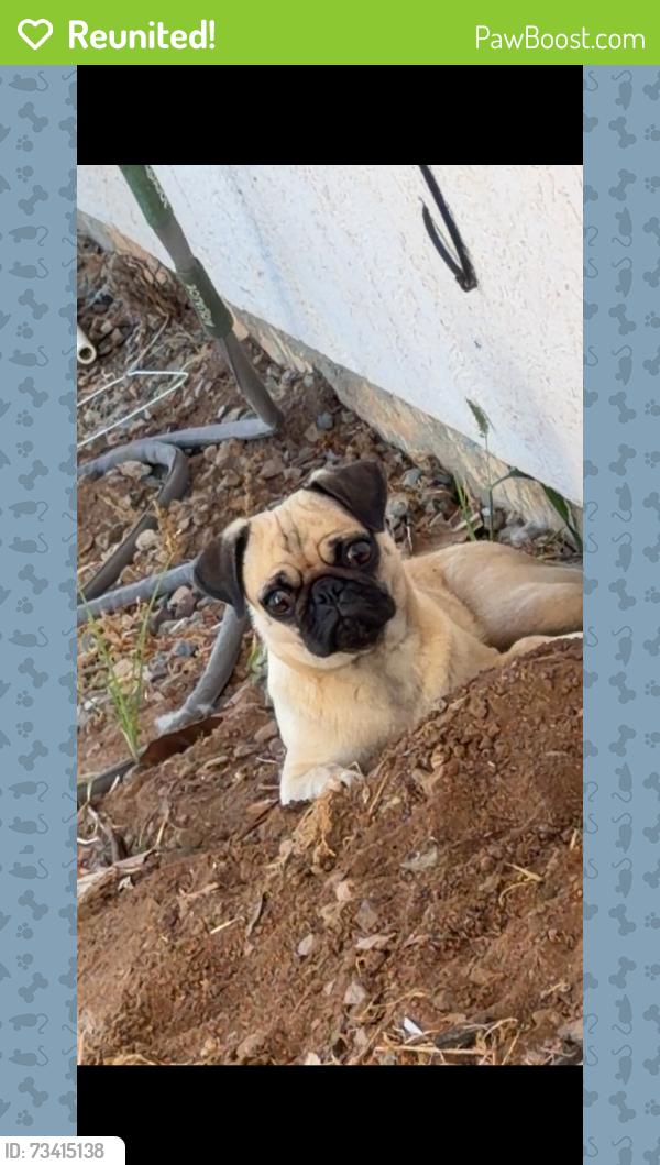 Reunited Female Dog last seen Near Cole Grade Rd, Valley Center, CA 92082, USA, Valley Center, CA 92082