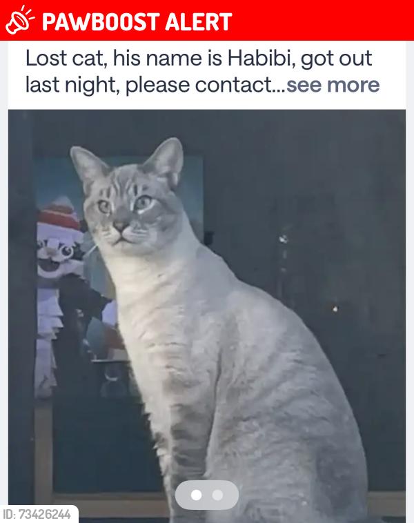 Lost Male Cat last seen Terra Vista/ Spruce, Rancho Cucamonga, CA 91730