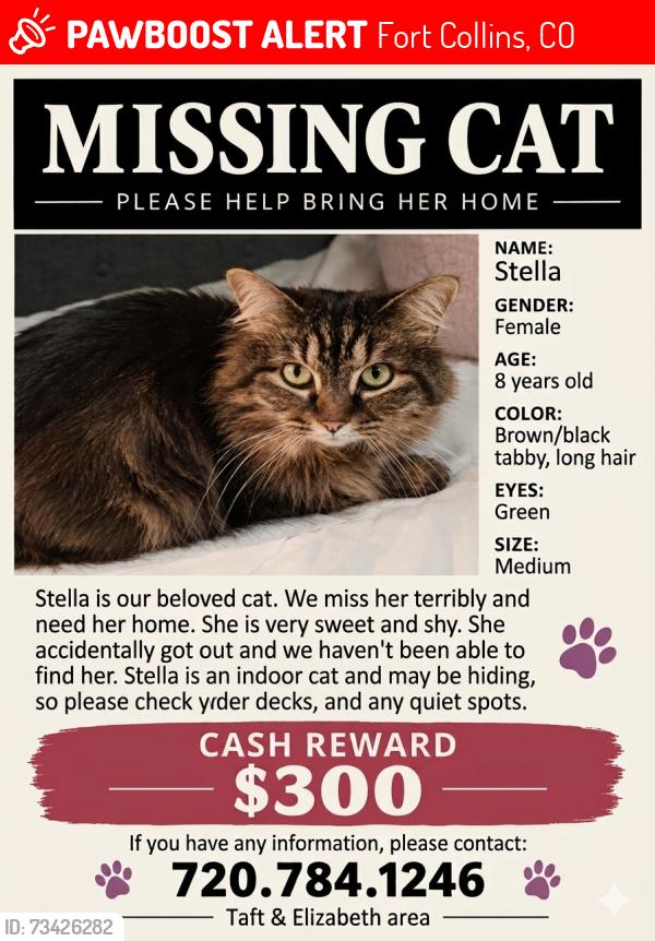 Lost Female Cat last seen Elizabeth & Taft Hill Rd, Fort Collins, CO 80521