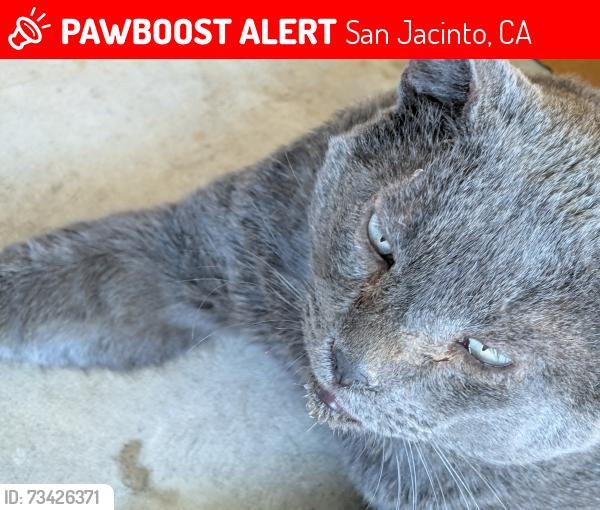 Lost Male Cat last seen Soboba rd, San Jacinto, CA 92583