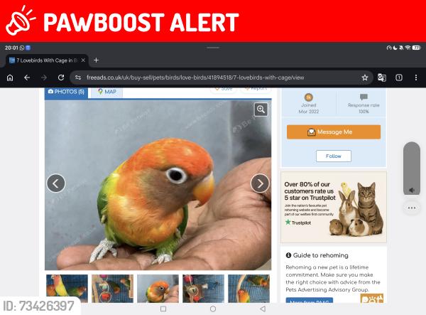 Lost Unknown Bird last seen Highgate, West Midlands, England B12