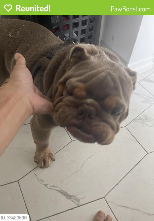 Reunited Male Dog last seen Hacienda Heights, CA, USA, Hacienda Heights, CA 91745